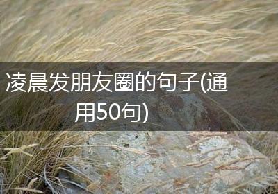 凌晨发朋友圈的句子(通用50句)