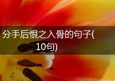 分手后恨之入骨的句子(10句)