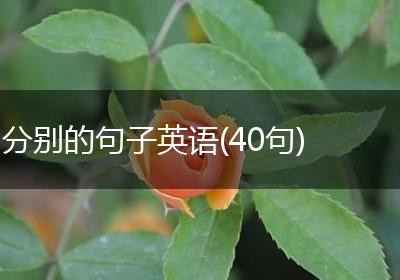 分别的句子英语(40句)