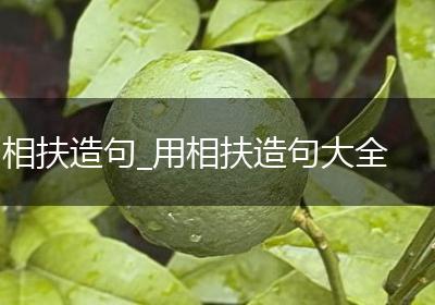 相扶造句_用相扶造句大全