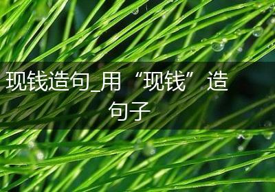 现钱造句_用“现钱”造句子
