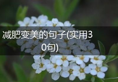 减肥变美的句子(实用30句)