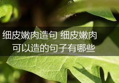 细皮嫩肉造句 细皮嫩肉可以造的句子有哪些