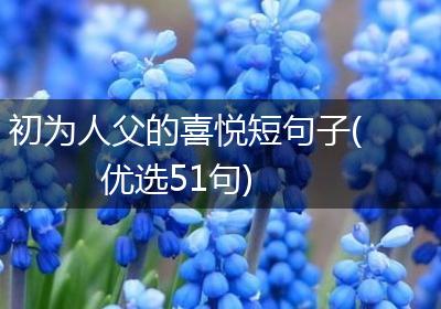 初为人父的喜悦短句子(优选51句)