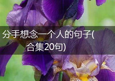 分手想念一个人的句子(合集20句)
