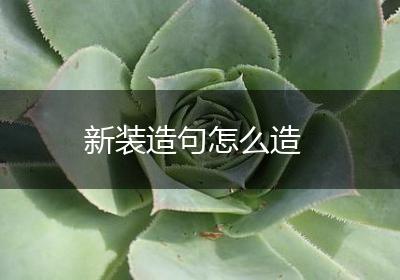新装造句怎么造