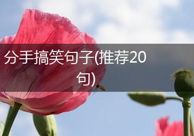 分手搞笑句子(推荐20句)