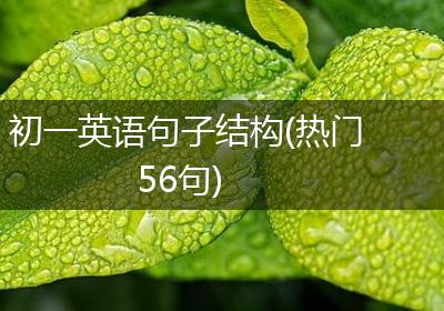 初一英语句子结构(热门56句)