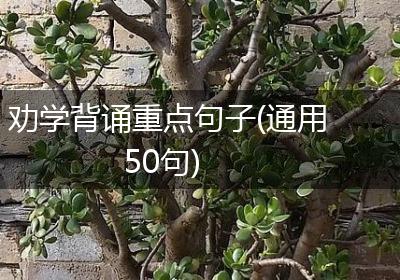 劝学背诵重点句子(通用50句)