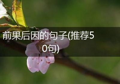 前果后因的句子(推荐50句)