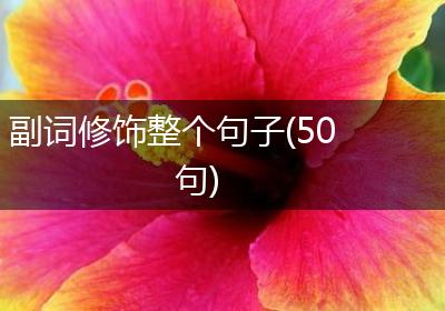 副词修饰整个句子(50句)