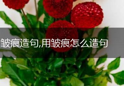 皱痕造句,用皱痕怎么造句