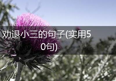 劝退小三的句子(实用50句)