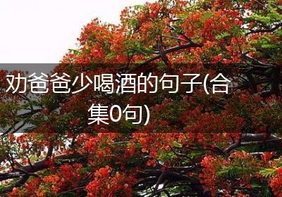 劝爸爸少喝酒的句子(合集0句)