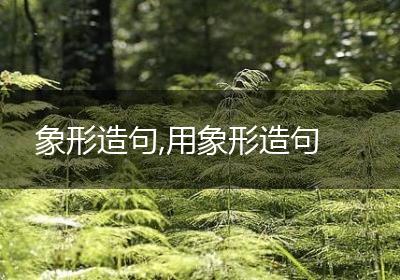象形造句,用象形造句