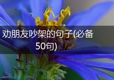 劝朋友吵架的句子(必备50句)
