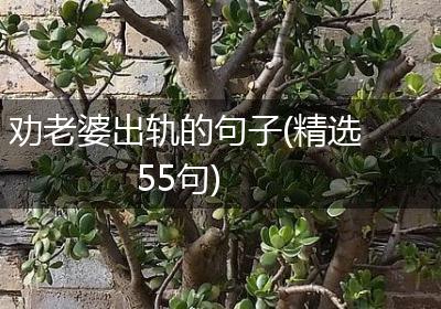 劝老婆出轨的句子(精选55句)