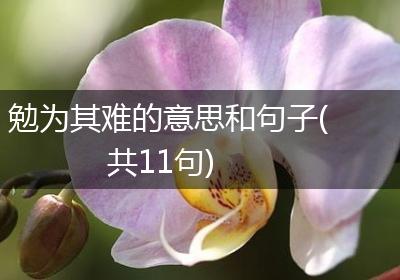 勉为其难的意思和句子(共11句)