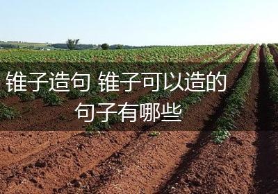 锥子造句 锥子可以造的句子有哪些
