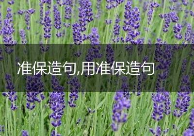 准保造句,用准保造句