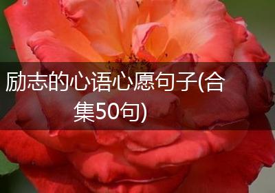 励志的心语心愿句子(合集50句)