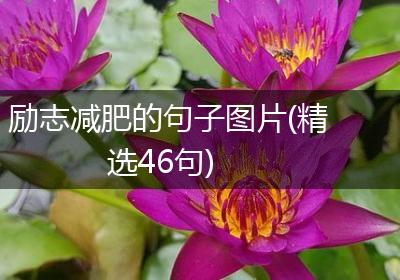 励志减肥的句子图片(精选46句)