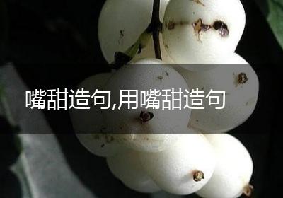 嘴甜造句,用嘴甜造句