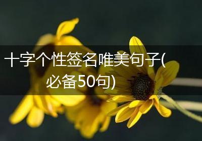 十字个性签名唯美句子(必备50句)