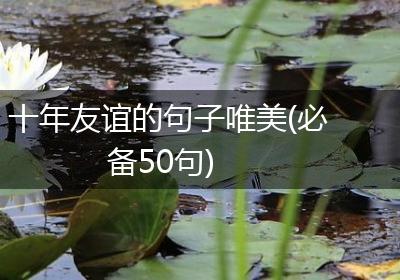 十年友谊的句子唯美(必备50句)