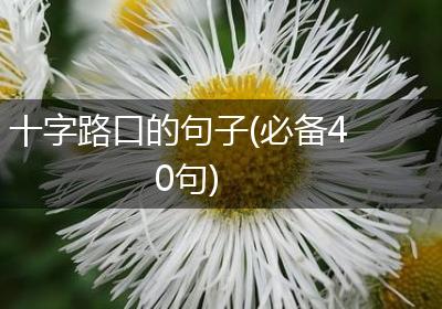 十字路口的句子(必备40句)