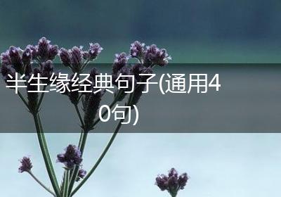 半生缘经典句子(通用40句)