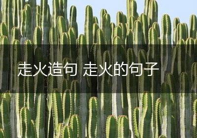 走火造句 走火的句子