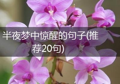 半夜梦中惊醒的句子(推荐20句)