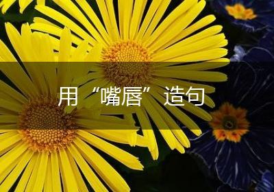 用“嘴唇”造句