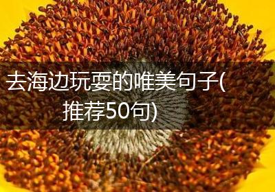 去海边玩耍的唯美句子(推荐50句)