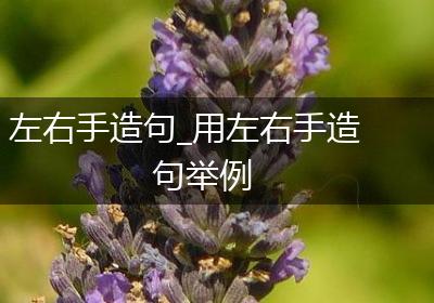 左右手造句_用左右手造句举例