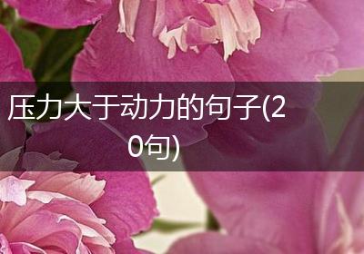 压力大于动力的句子(20句)