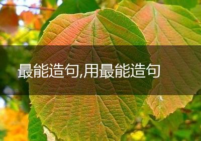 最能造句,用最能造句