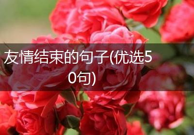 友情结束的句子(优选50句)