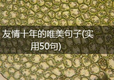 友情十年的唯美句子(实用50句)