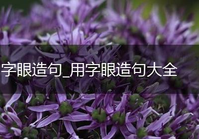 字眼造句_用字眼造句大全