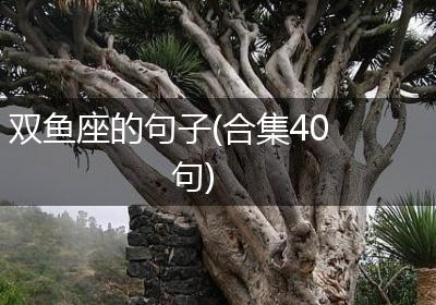 双鱼座的句子(合集40句)