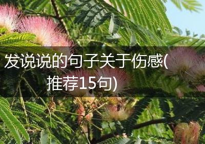 发说说的句子关于伤感(推荐15句)