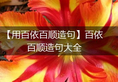 【用百依百顺造句】百依百顺造句大全