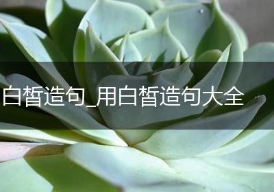 白皙造句_用白皙造句大全