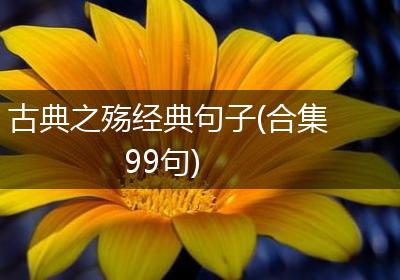 古典之殇经典句子(合集99句)