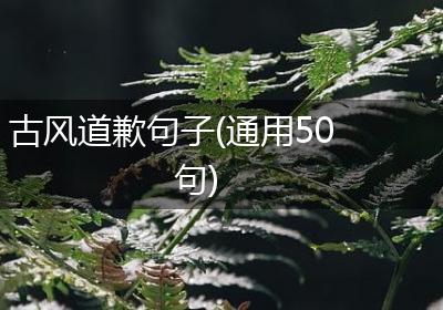 古风道歉句子(通用50句)