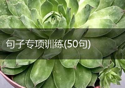 句子专项训练(50句)