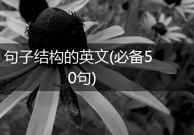 句子结构的英文(必备50句)