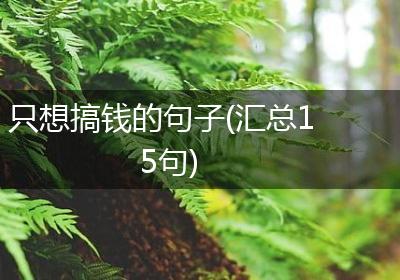 只想搞钱的句子(汇总15句)